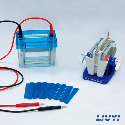 北京六一迷你雙垂直電泳儀(注)DYCZ-24DN