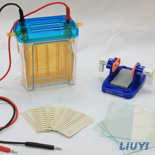 北京六一雙垂直電泳儀(注塑)DYCZ-24EN