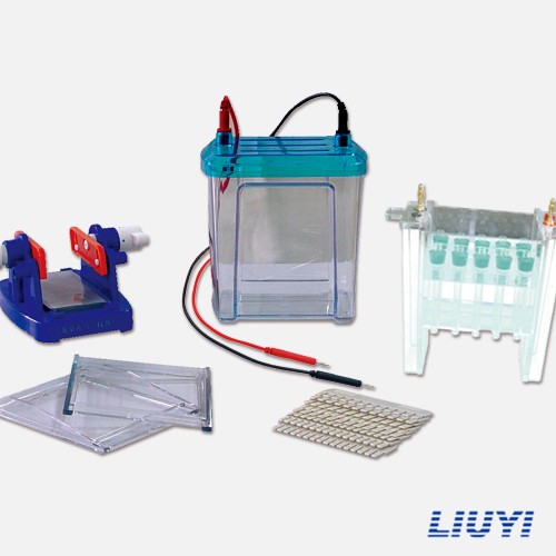 北京六一雙向電泳儀DYCZ-26B