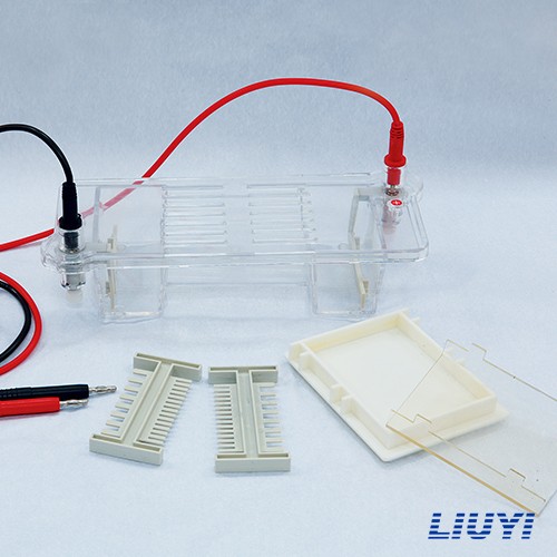 北京六一瓊脂糖水平電泳儀(注)DYCP-31CN