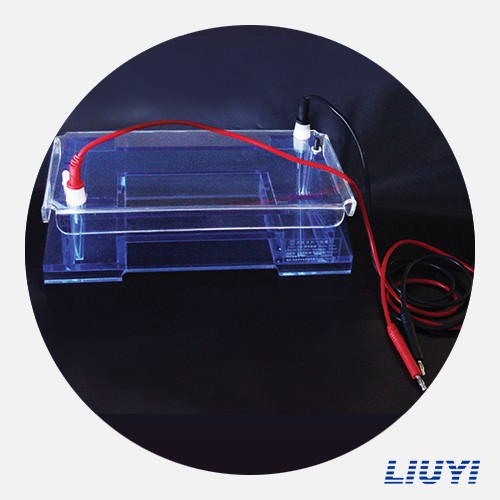 北京六一瓊脂糖水平電泳儀DYCP-32A