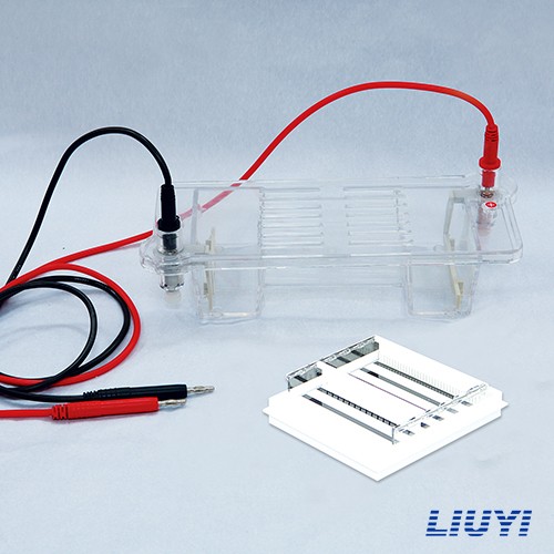 北京六一瓊脂糖水平電泳儀(注)DYCP-32B