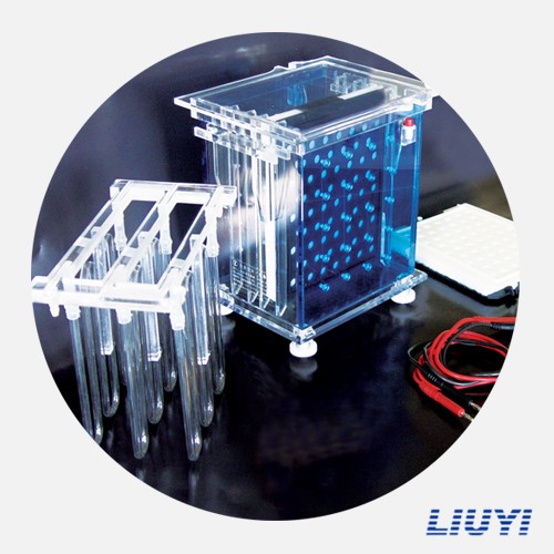 北京六一轉(zhuǎn)移電泳儀(大號)DYCZ-40A