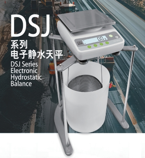 上海良平靜水力學(xué)天平DSJ-5